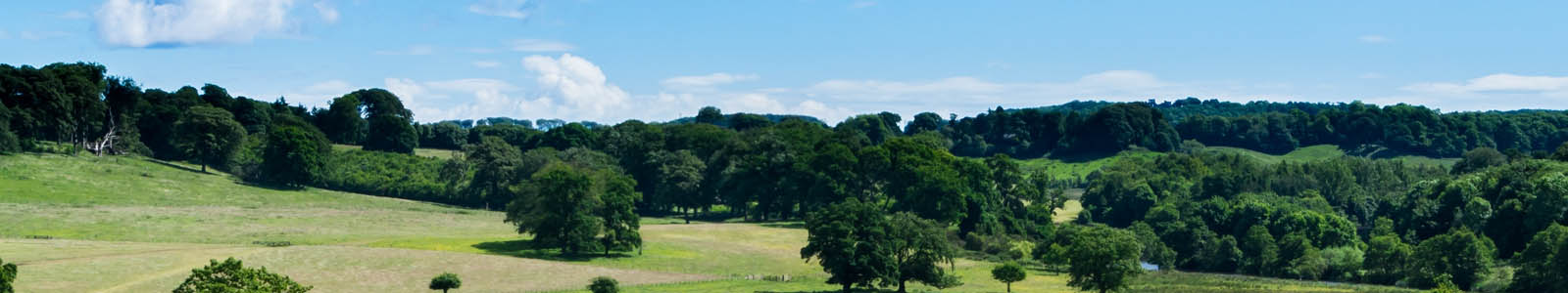 株式会社　丸起お問い合わせ